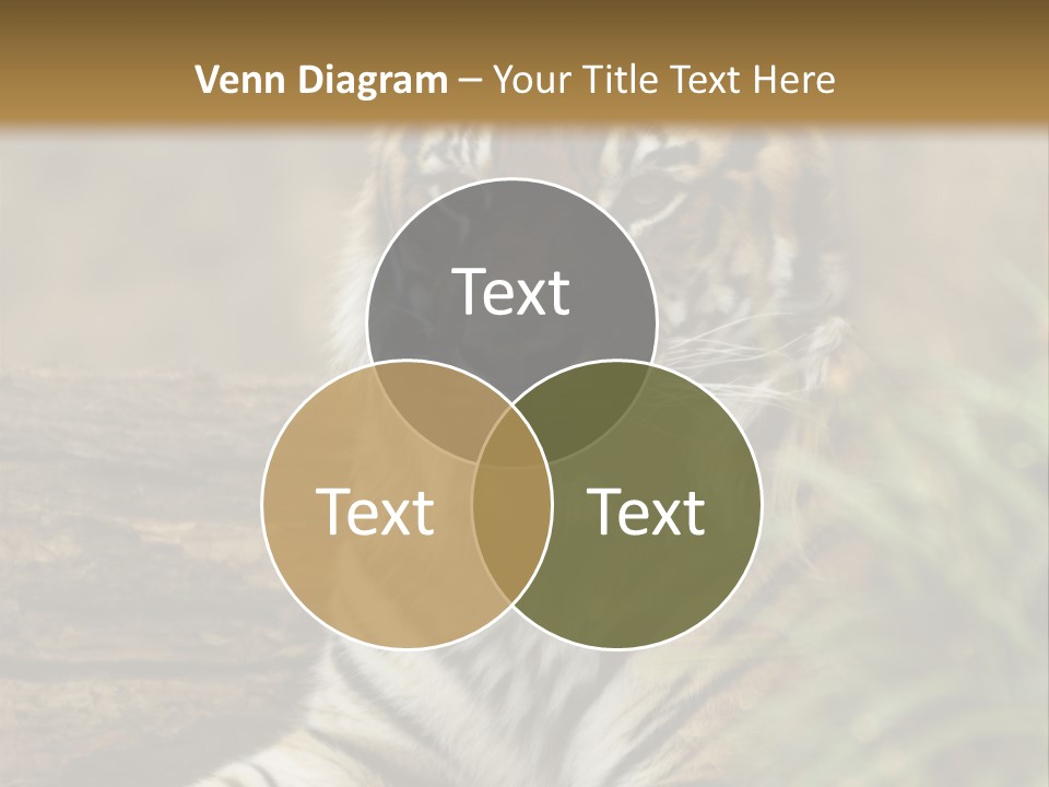 Alertness Wildlife Nature PowerPoint Template