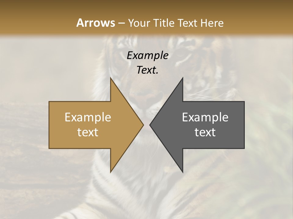 Alertness Wildlife Nature PowerPoint Template