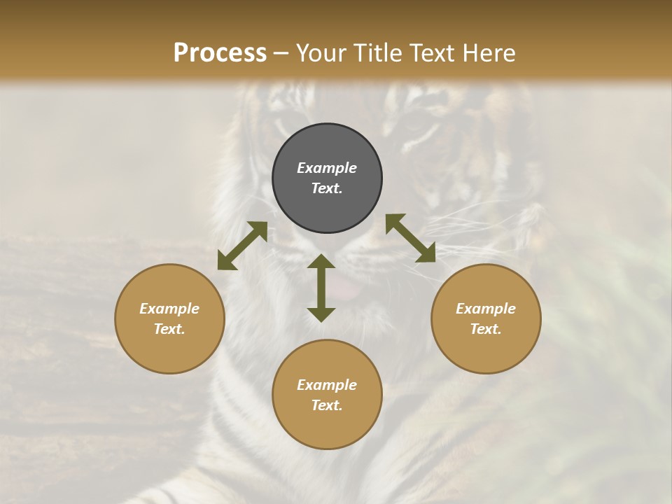 Alertness Wildlife Nature PowerPoint Template