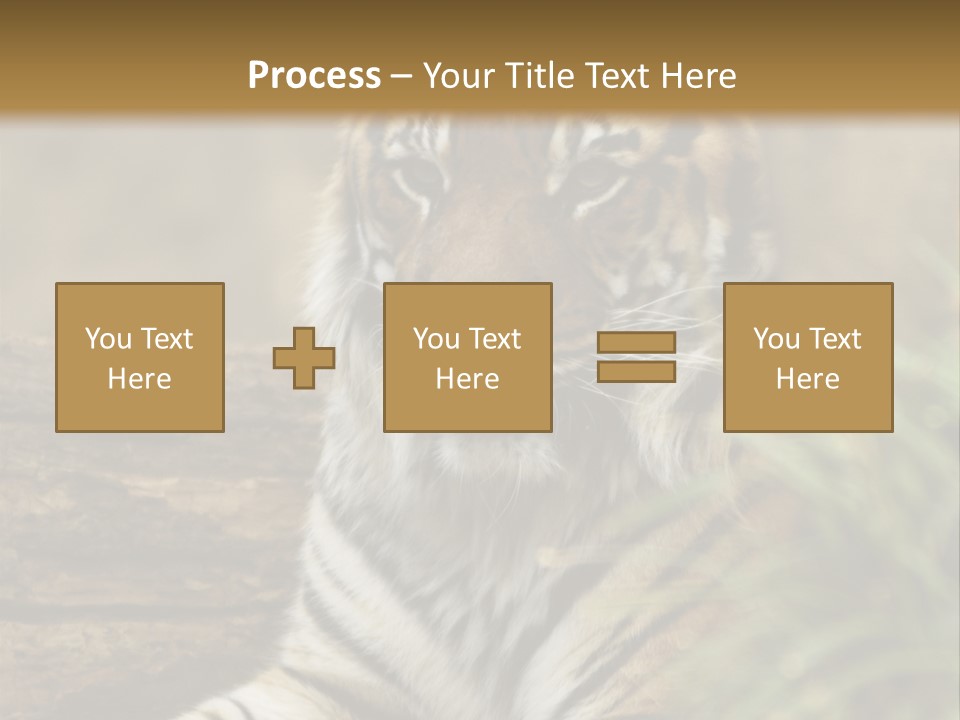 Alertness Wildlife Nature PowerPoint Template