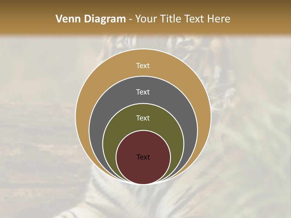 Alertness Wildlife Nature PowerPoint Template