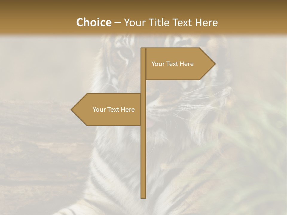 Alertness Wildlife Nature PowerPoint Template