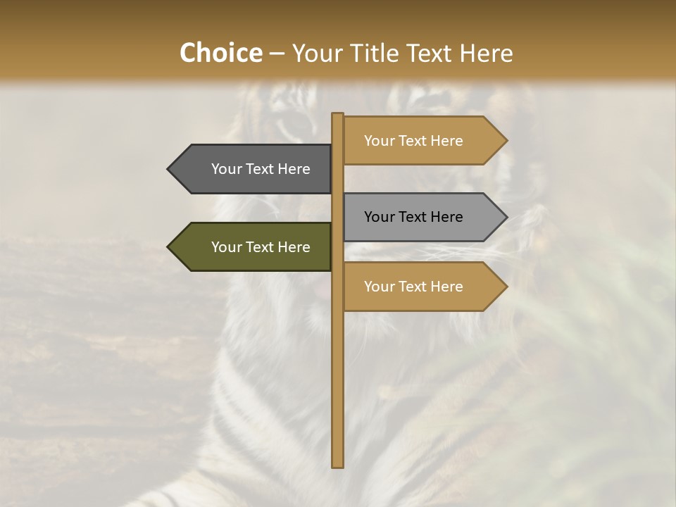 Alertness Wildlife Nature PowerPoint Template