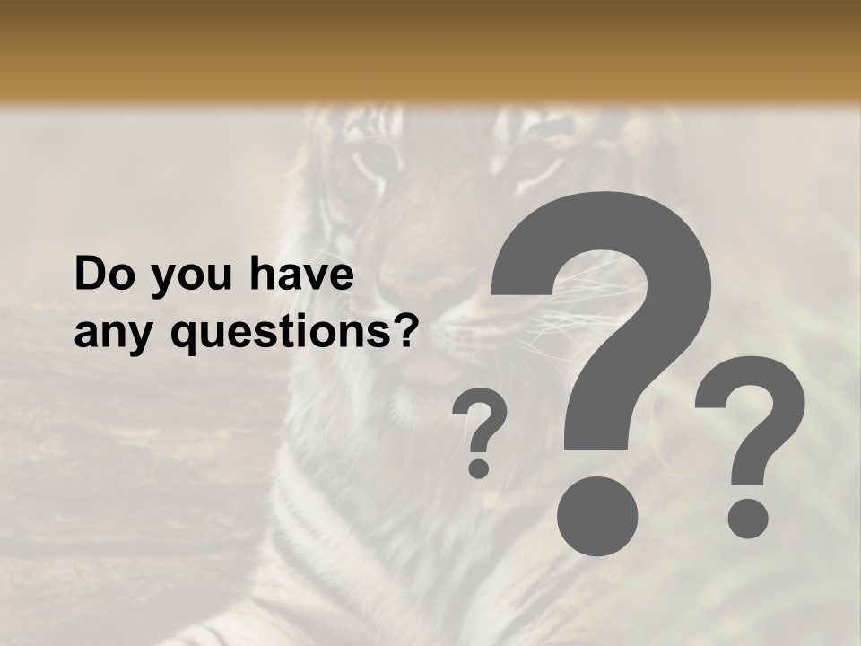 Alertness Wildlife Nature PowerPoint Template