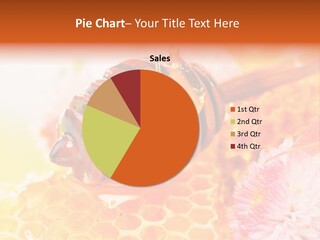 Dessert Sweetener Nutrition PowerPoint Template