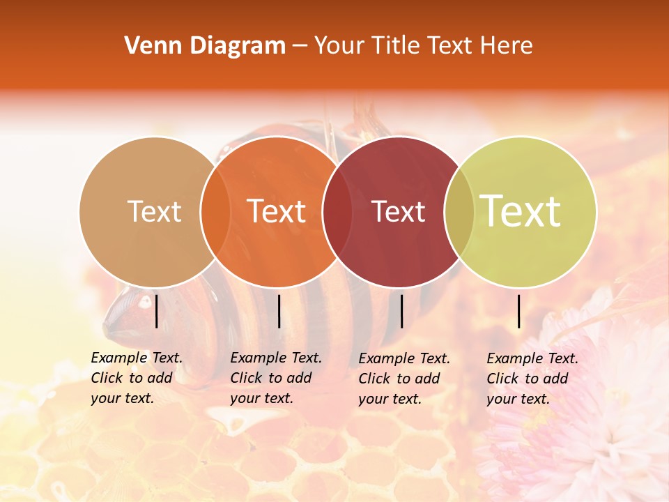 Dessert Sweetener Nutrition PowerPoint Template