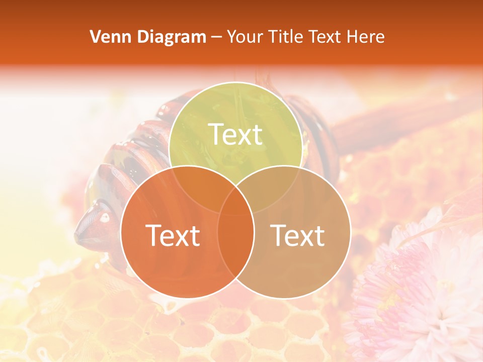 Dessert Sweetener Nutrition PowerPoint Template
