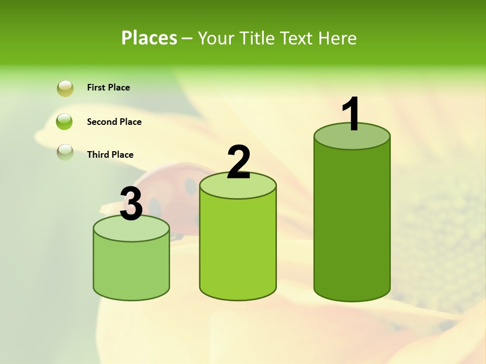 Insect Colorful Small PowerPoint Template