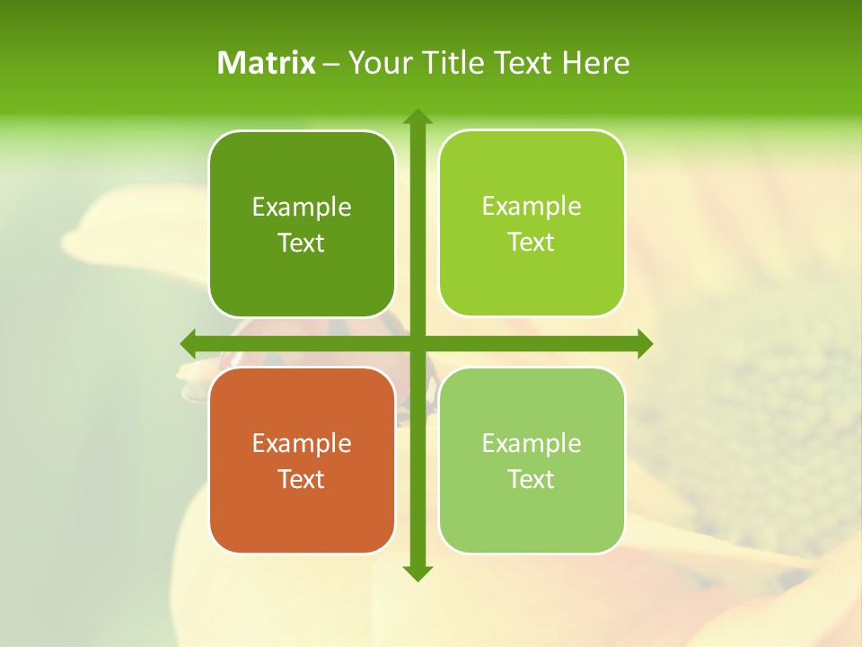 Insect Colorful Small PowerPoint Template