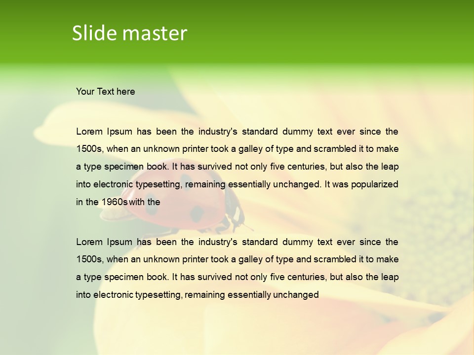 Insect Colorful Small PowerPoint Template