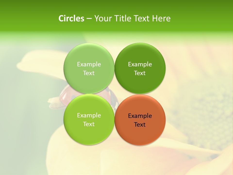 Insect Colorful Small PowerPoint Template