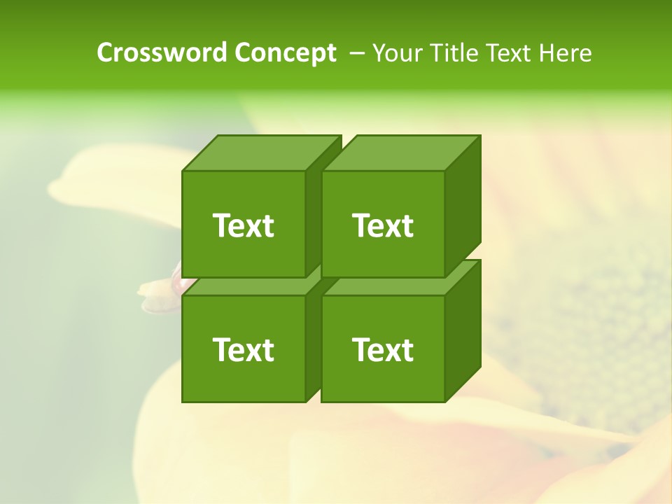 Insect Colorful Small PowerPoint Template