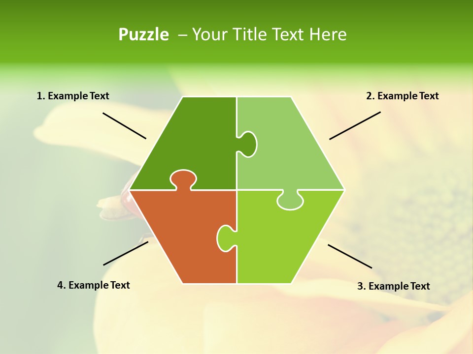 Insect Colorful Small PowerPoint Template