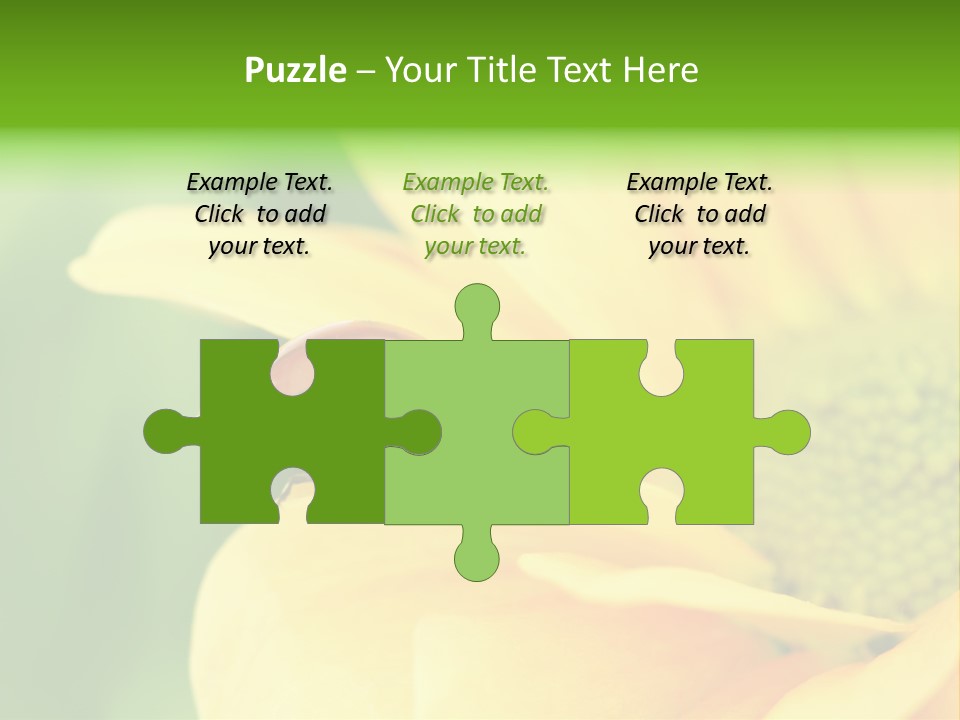 Insect Colorful Small PowerPoint Template