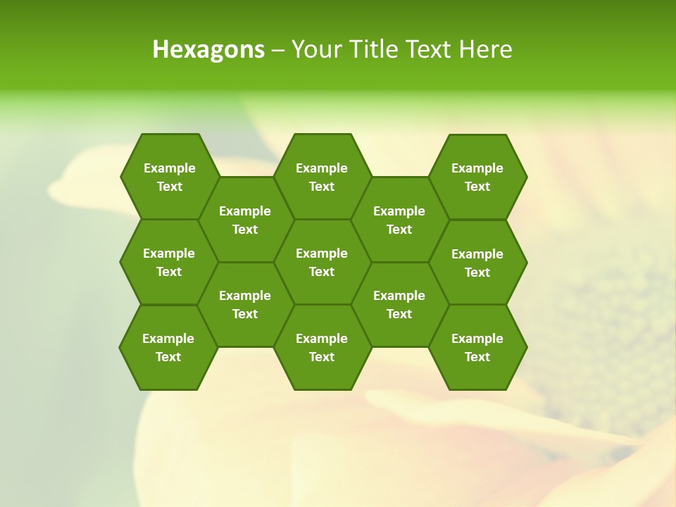 Insect Colorful Small PowerPoint Template