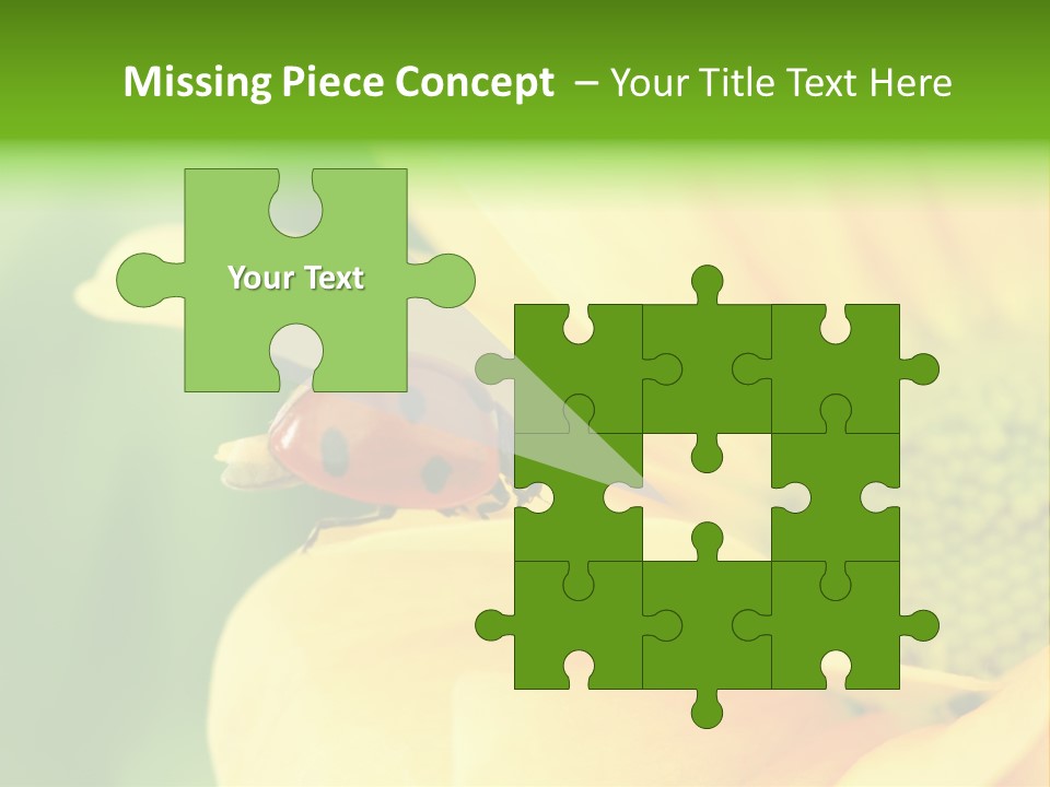 Insect Colorful Small PowerPoint Template