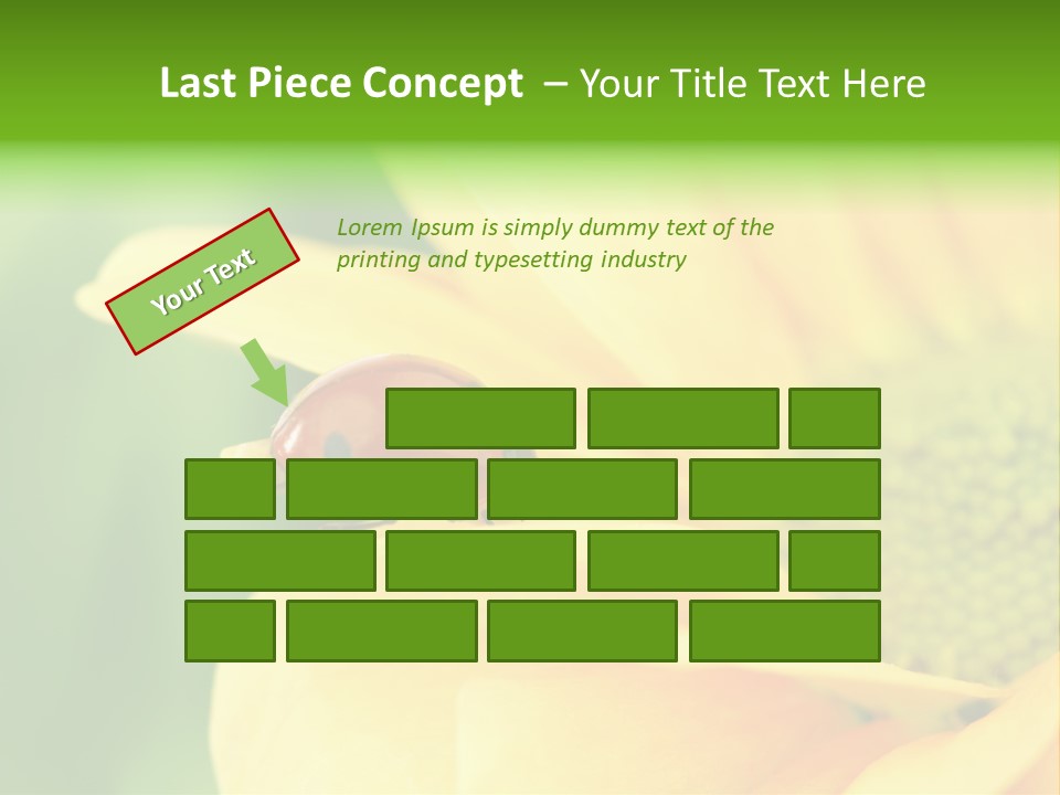 Insect Colorful Small PowerPoint Template