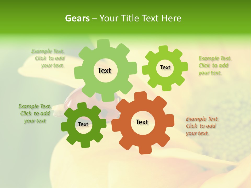 Insect Colorful Small PowerPoint Template