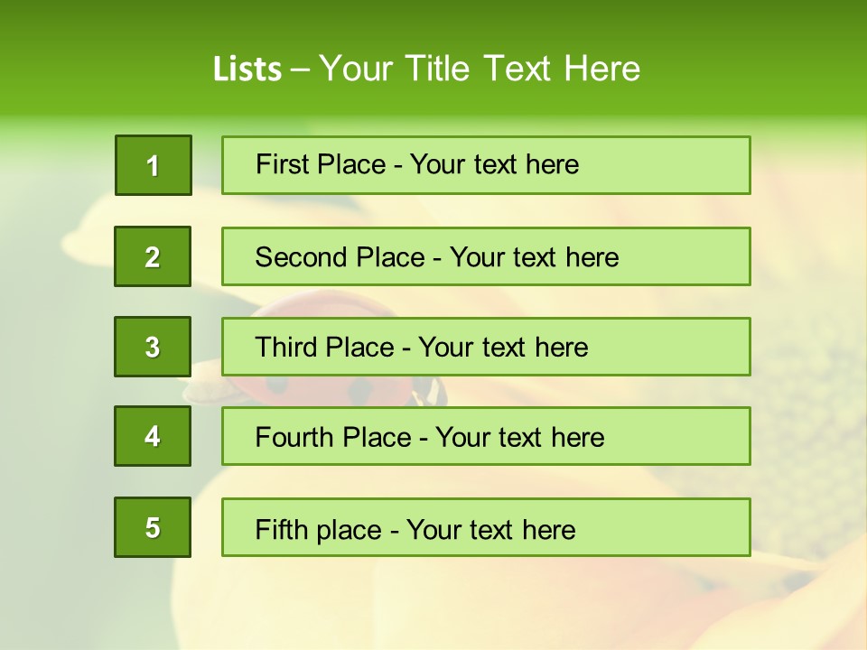 Insect Colorful Small PowerPoint Template