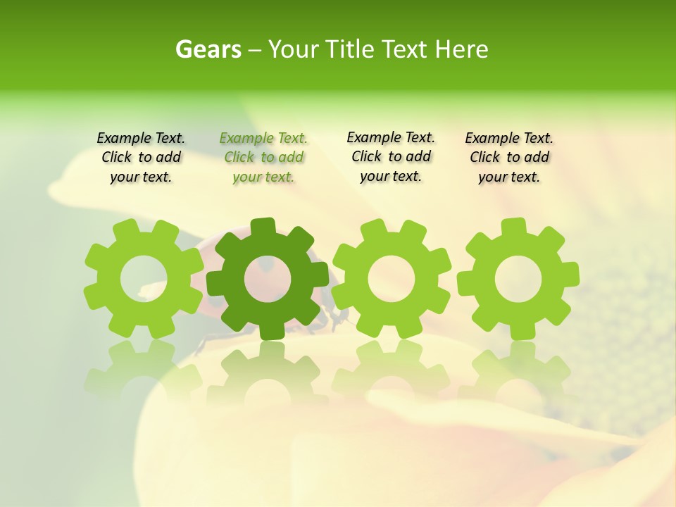 Insect Colorful Small PowerPoint Template