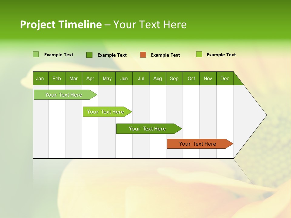 Insect Colorful Small PowerPoint Template