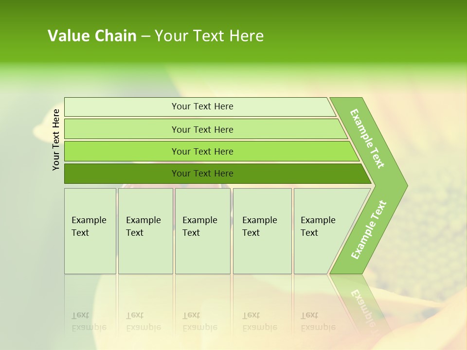 Insect Colorful Small PowerPoint Template