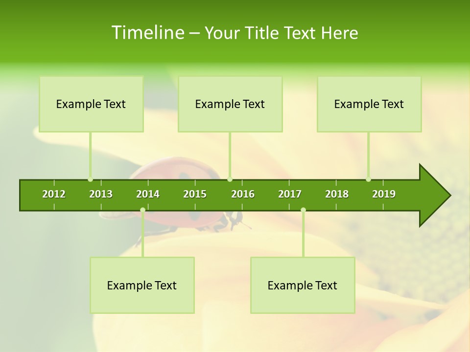 Insect Colorful Small PowerPoint Template