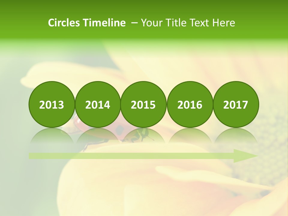 Insect Colorful Small PowerPoint Template