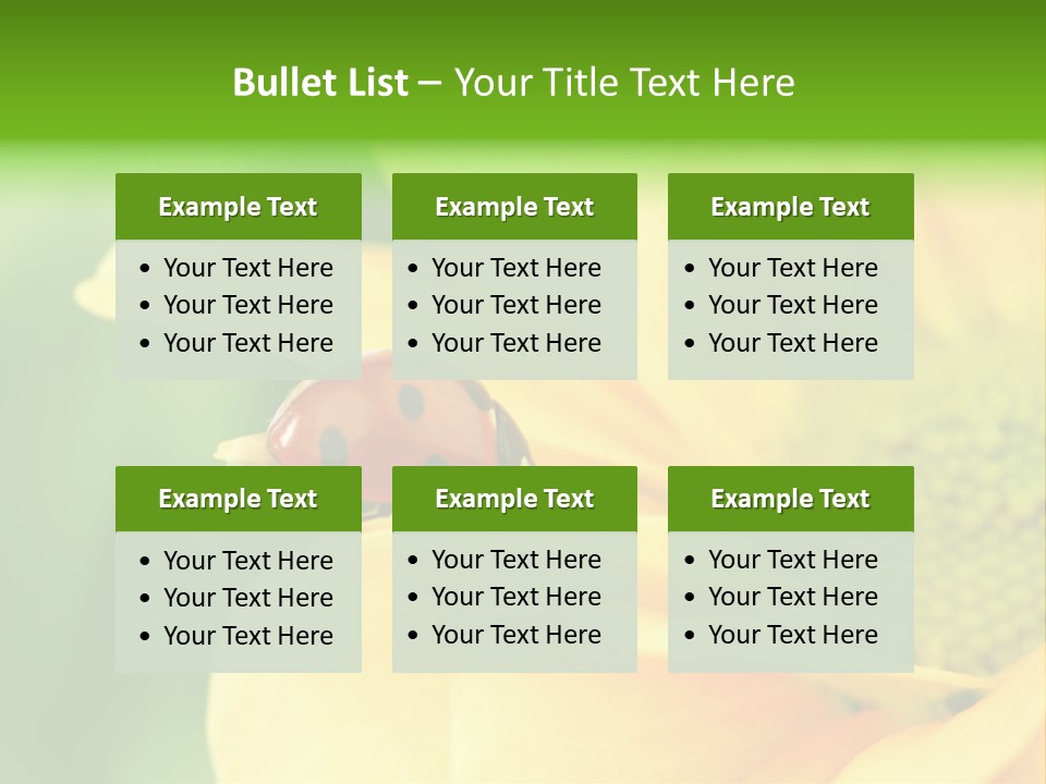 Insect Colorful Small PowerPoint Template