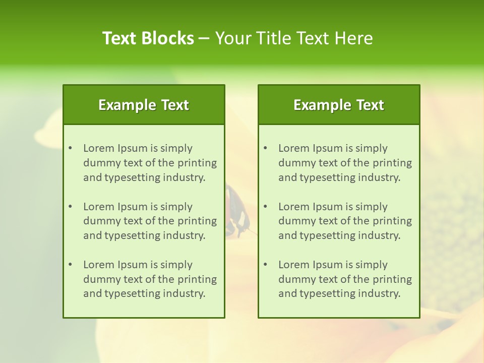 Insect Colorful Small PowerPoint Template
