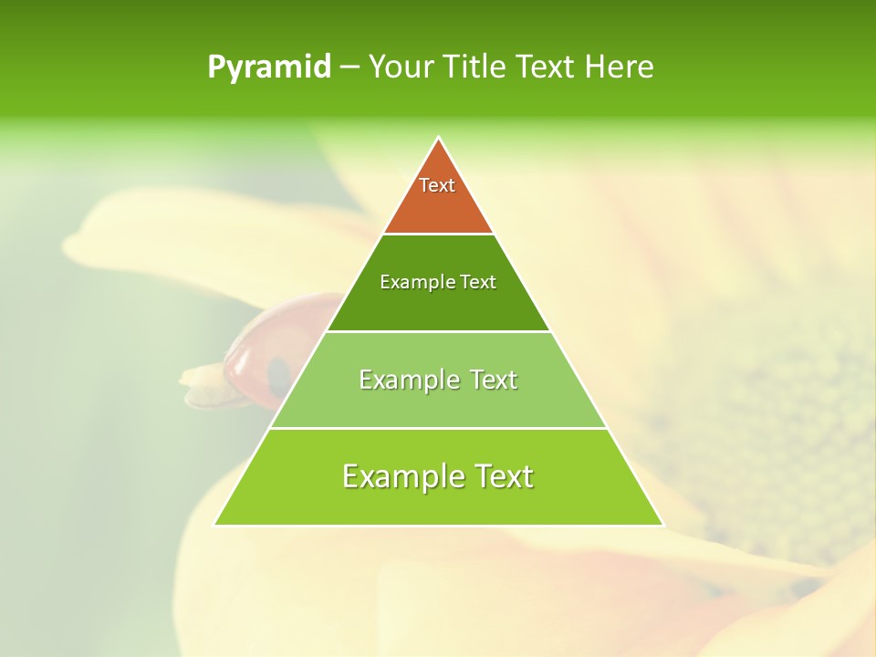 Insect Colorful Small PowerPoint Template