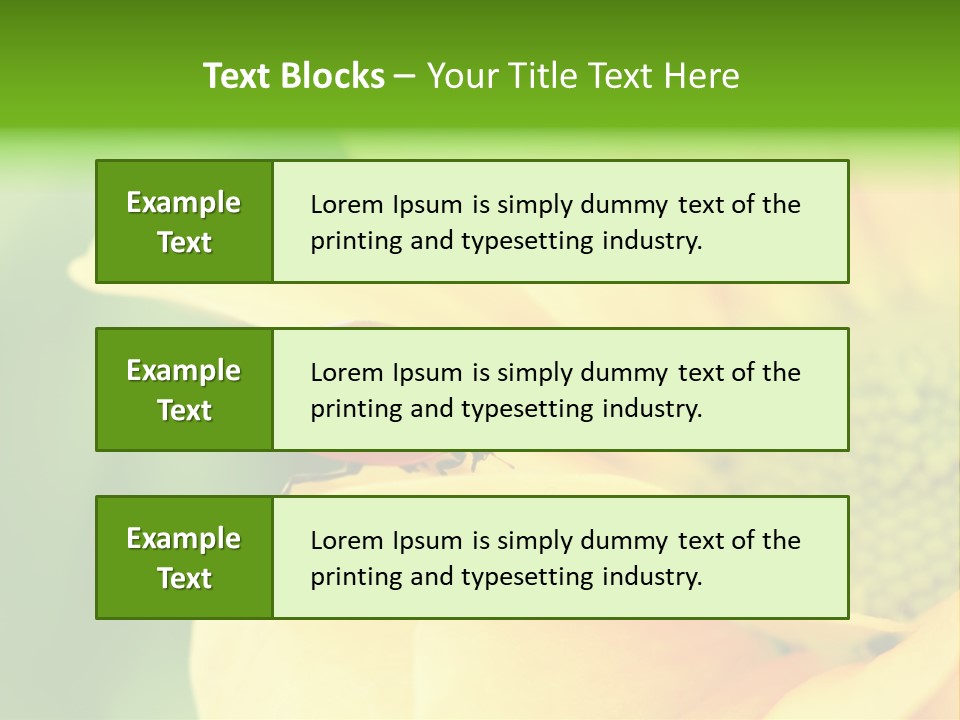 Insect Colorful Small PowerPoint Template