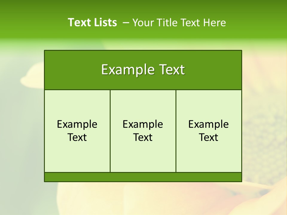Insect Colorful Small PowerPoint Template