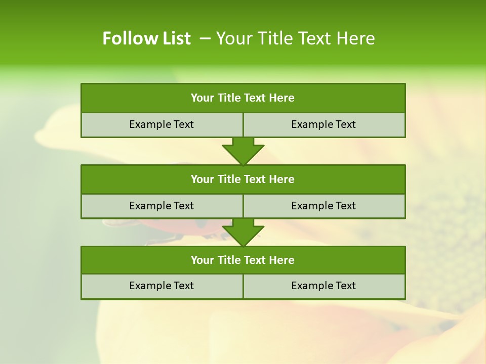 Insect Colorful Small PowerPoint Template