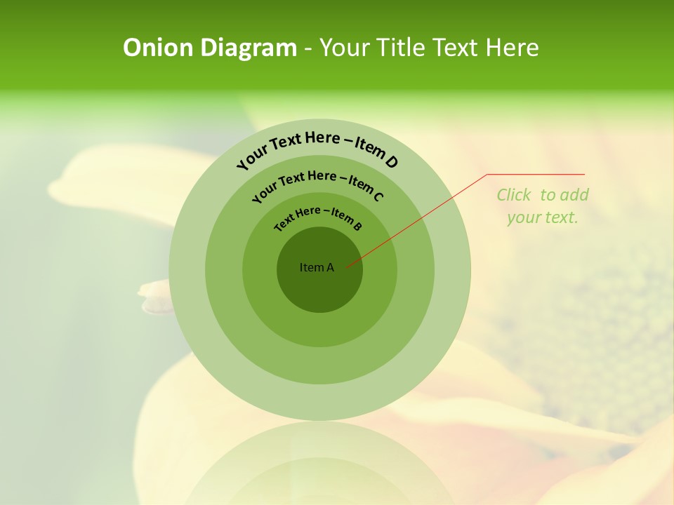 Insect Colorful Small PowerPoint Template