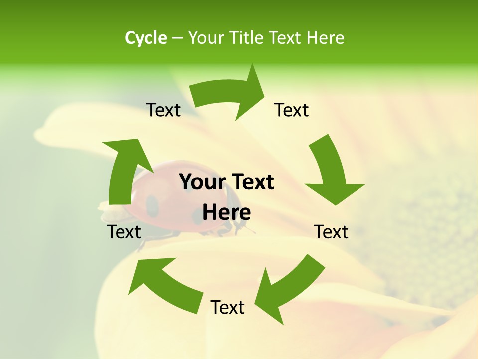 Insect Colorful Small PowerPoint Template