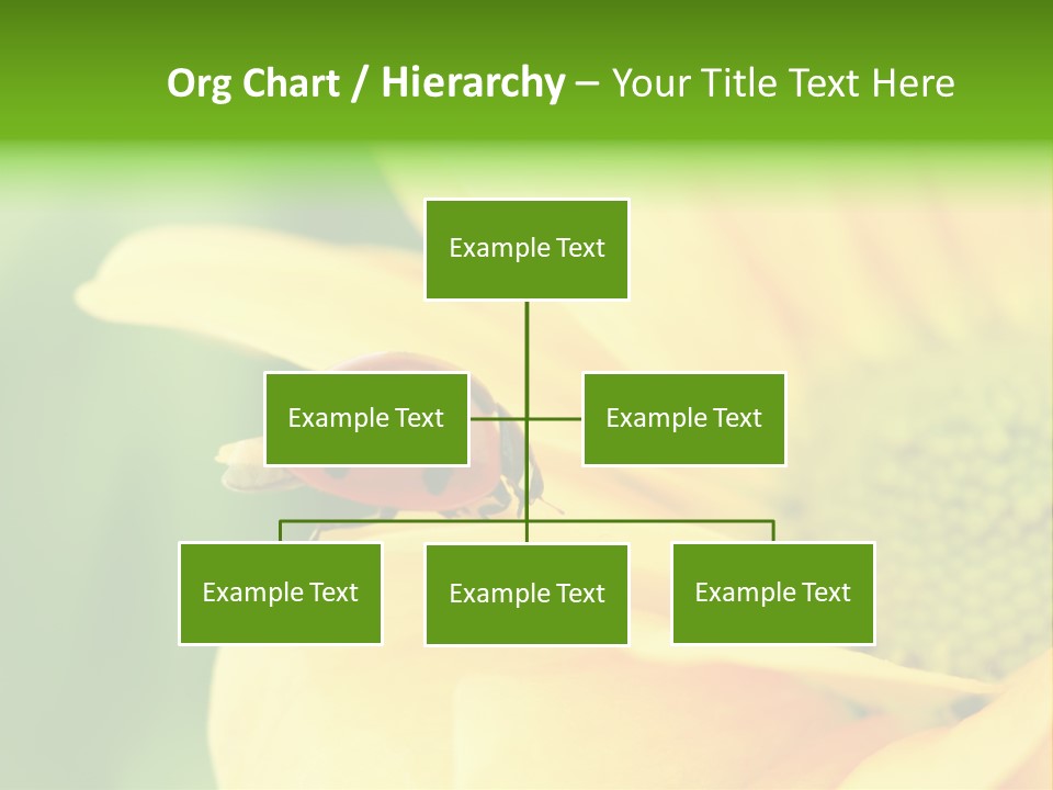 Insect Colorful Small PowerPoint Template