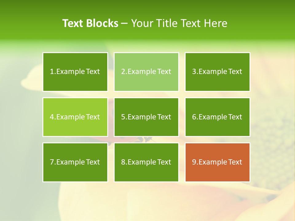 Insect Colorful Small PowerPoint Template