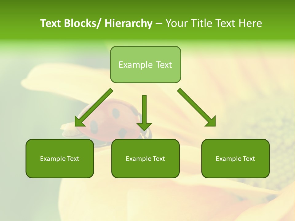 Insect Colorful Small PowerPoint Template