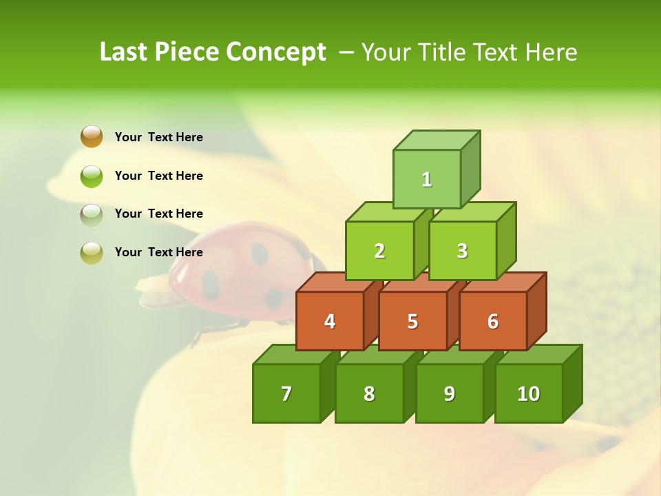 Insect Colorful Small PowerPoint Template