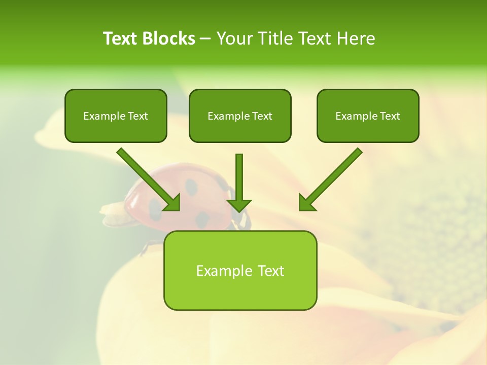 Insect Colorful Small PowerPoint Template