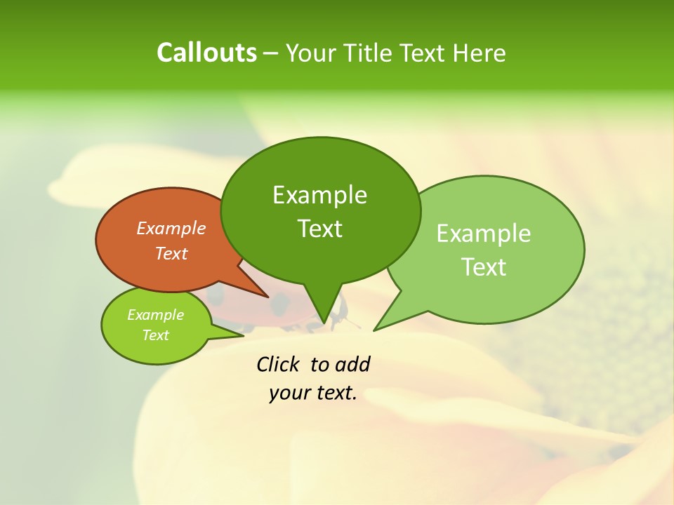 Insect Colorful Small PowerPoint Template