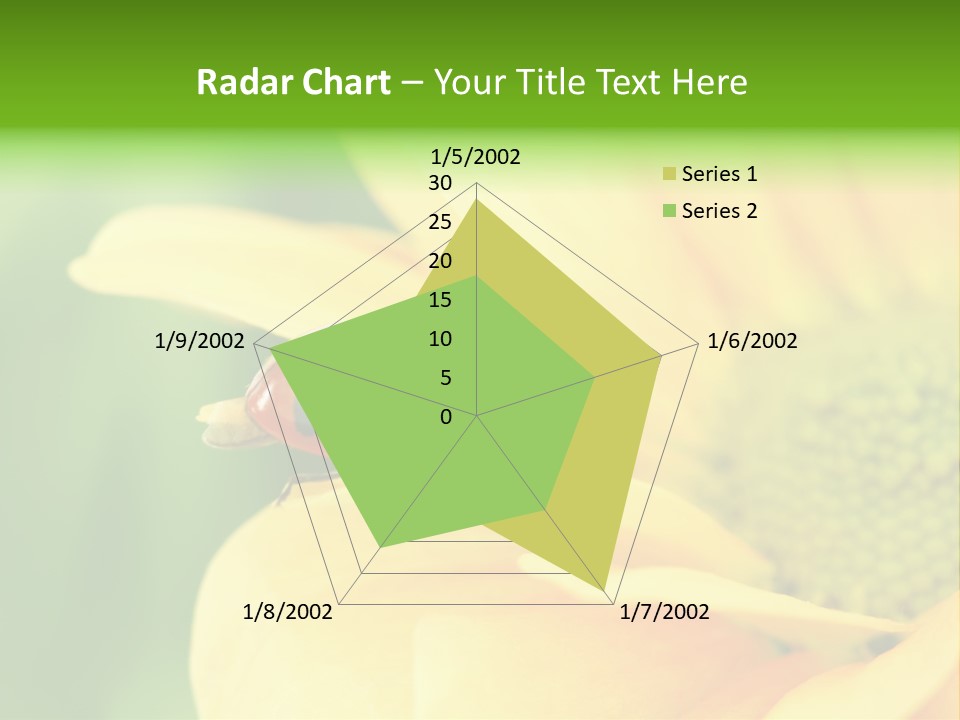 Insect Colorful Small PowerPoint Template