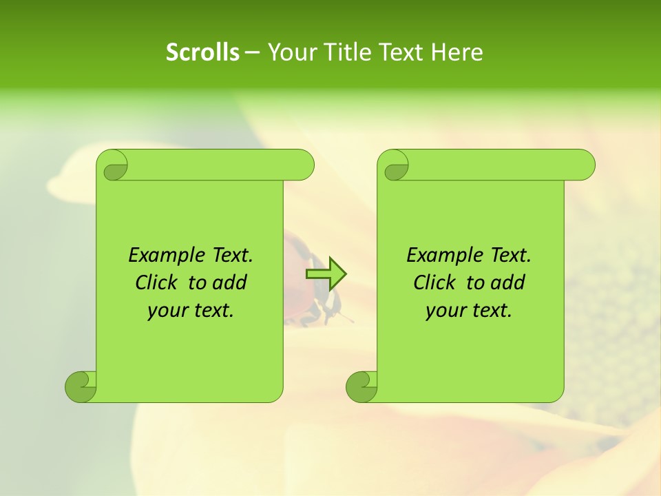 Insect Colorful Small PowerPoint Template