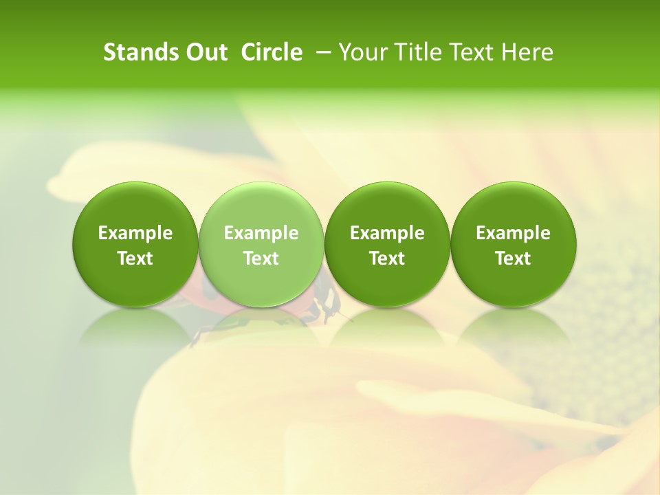 Insect Colorful Small PowerPoint Template