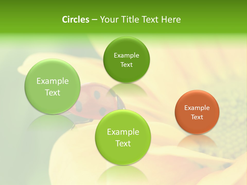 Insect Colorful Small PowerPoint Template