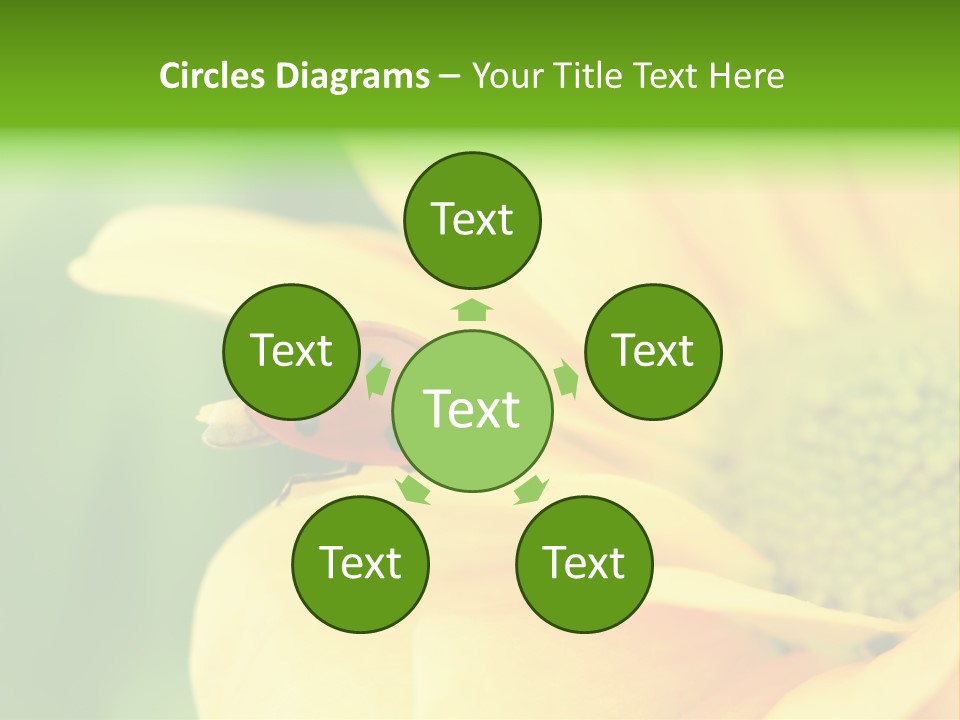 Insect Colorful Small PowerPoint Template