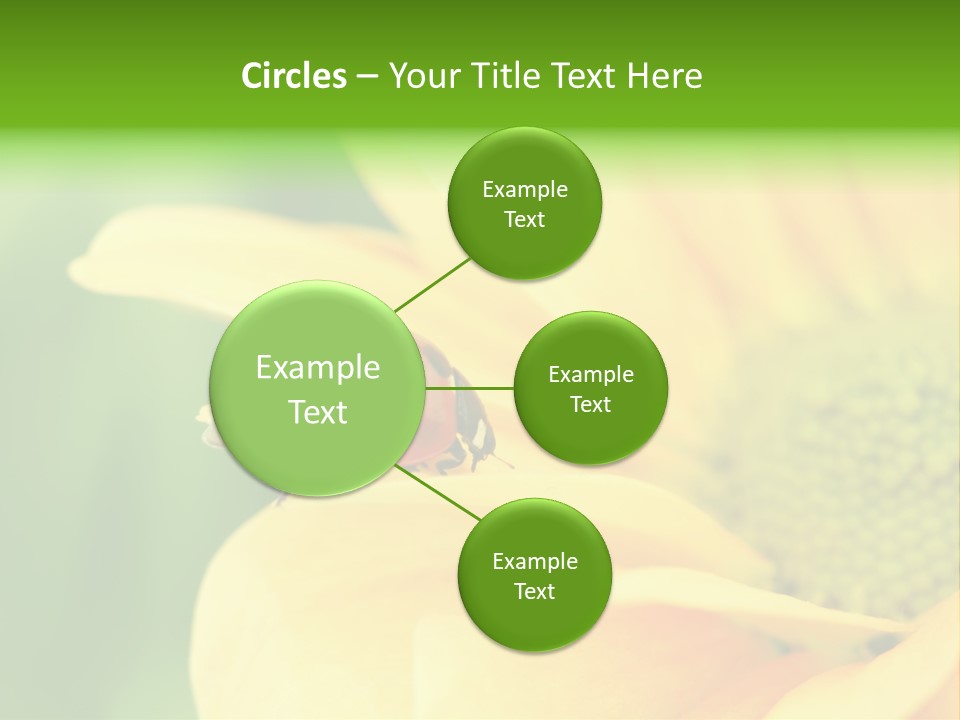 Insect Colorful Small PowerPoint Template