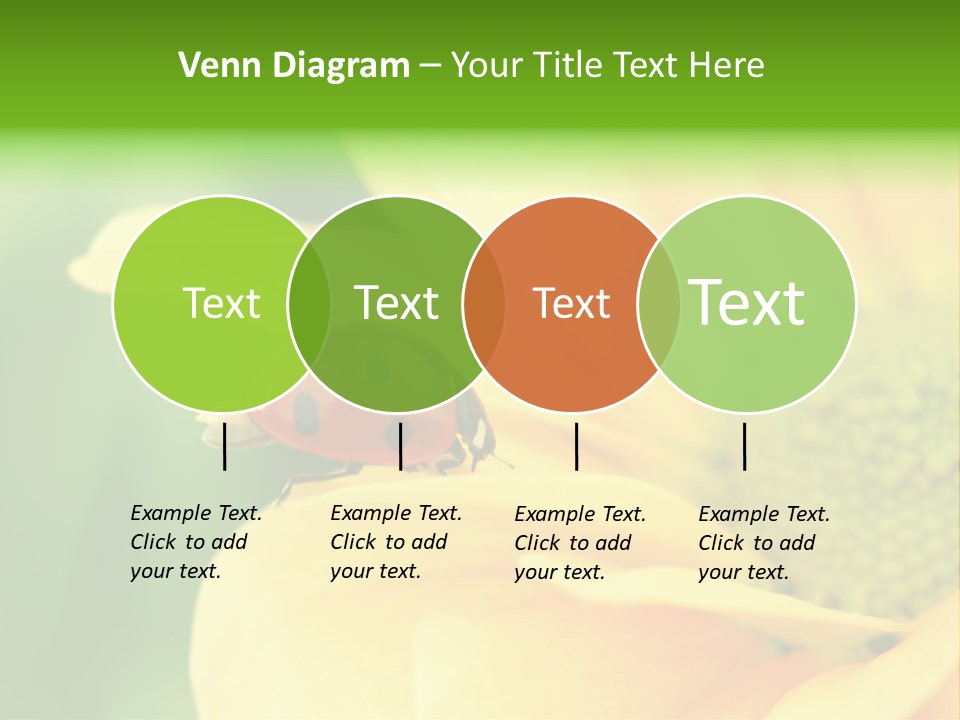 Insect Colorful Small PowerPoint Template