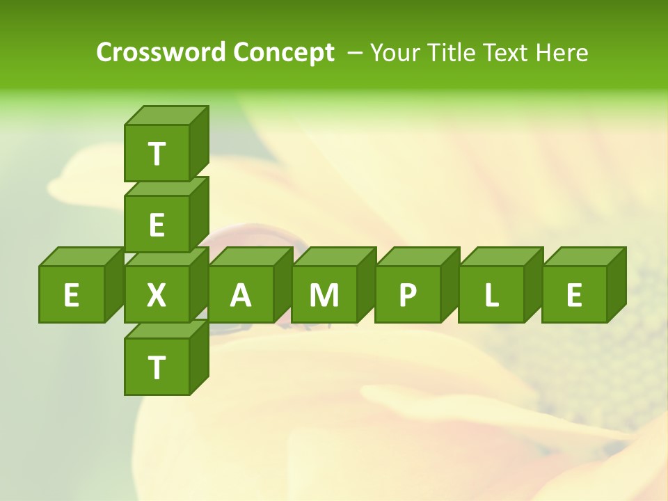 Insect Colorful Small PowerPoint Template